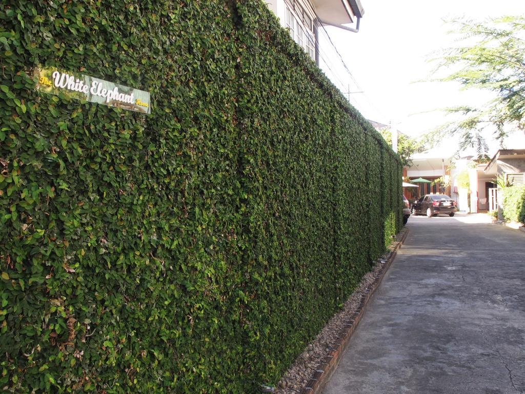 The White Elephant Home Chiang Mai Exterior foto